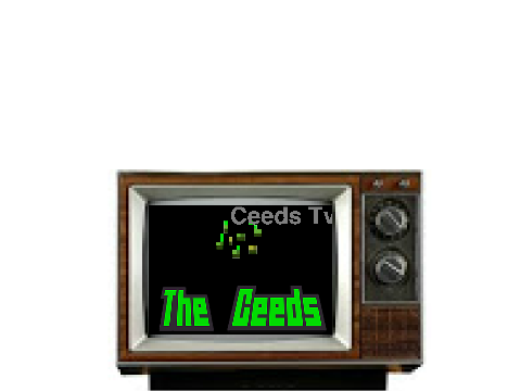 Ceeds TV