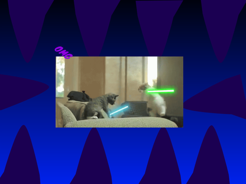 cat wars