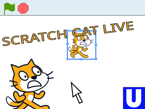 Scratch cat live