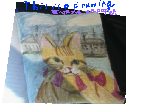 My Drawing Of A Cat.