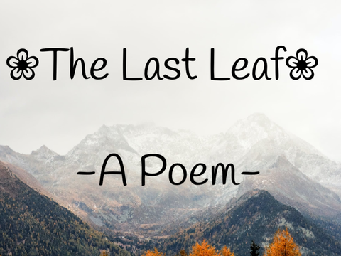 The Last Leaf (Poem)