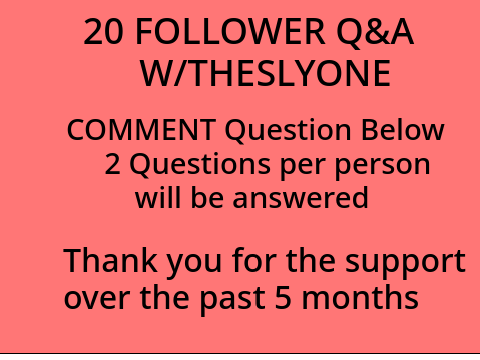 20 Followers Q&A!