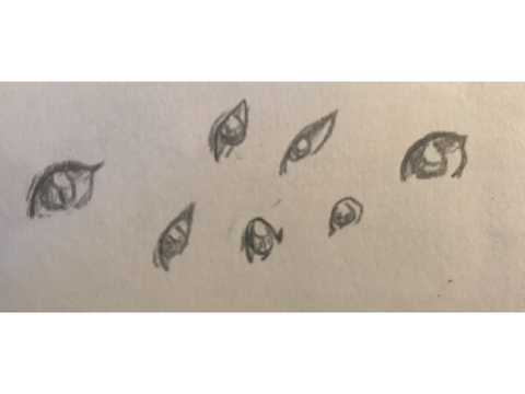 eyes?