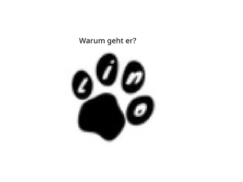 Hundilino geht :(