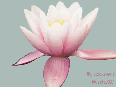 Lily Blockshade