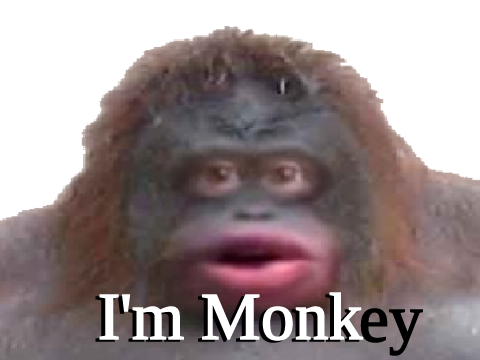 monk