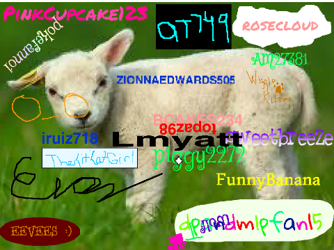 Are you an Animal Lover?  remix