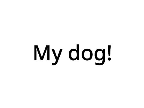 This is my dog irl!