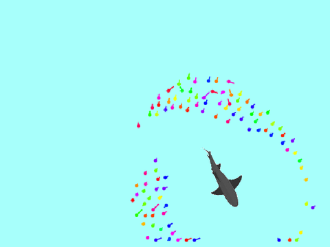 Tadpoles vs. Shark