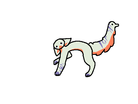 :|: DT :|: