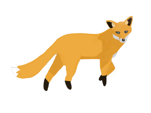 Fox :)