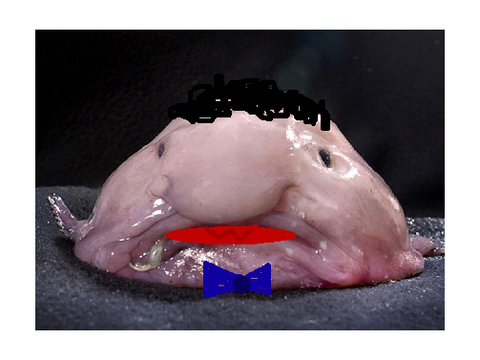 Meme2