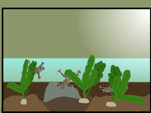 Frog art