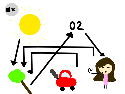 CO₂ & O₂ Cycle
