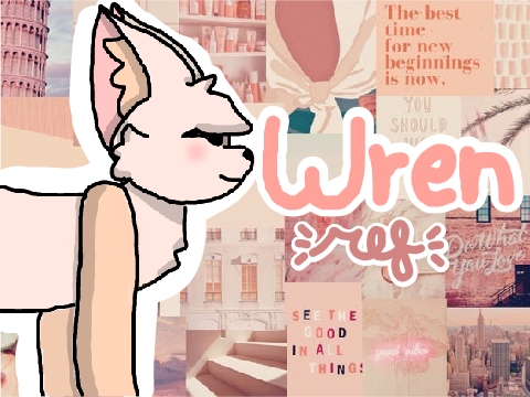 Wren || OC ref
