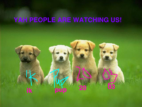 Sign here if you like animals! remix remix