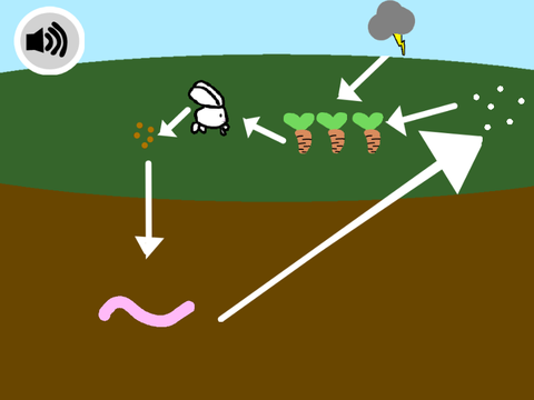 Nitrogen Cycle