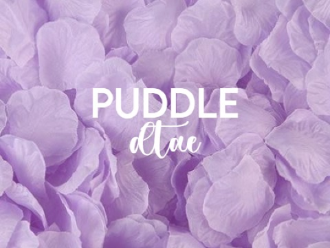 puddle // dta entry