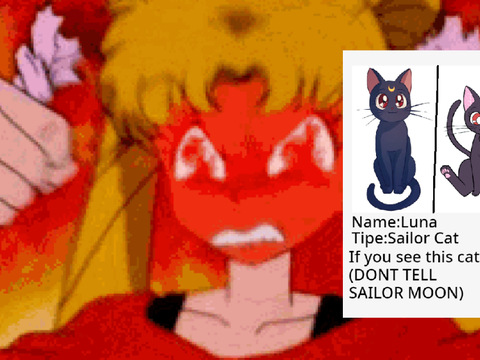 I HATE LUNA!