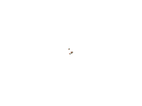 Copper Fish Simulator
