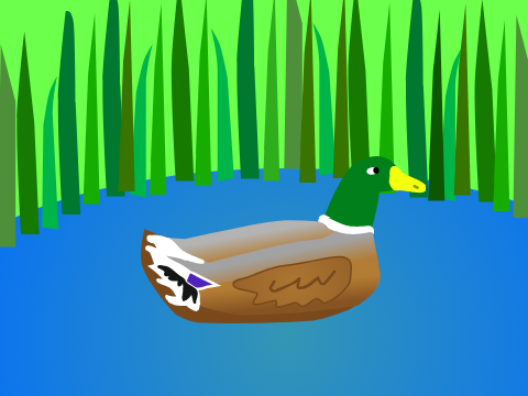 Mallard Duck Art