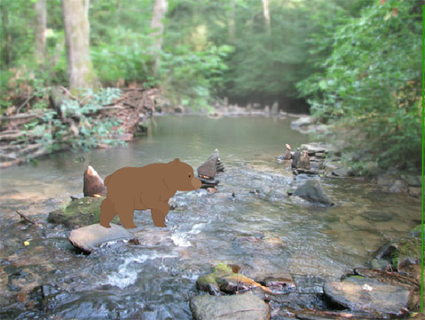 Bear