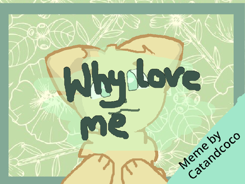 Why love me ||MEME||