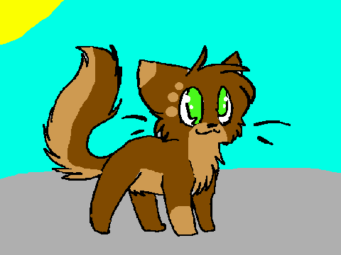 Me-Warrior Cat