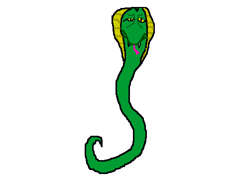 snake contest