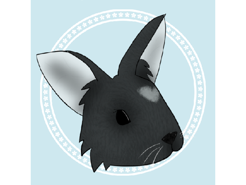 Bunny rabbit 