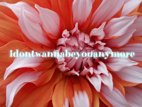 Idontwannabeyouanymore Thumb
