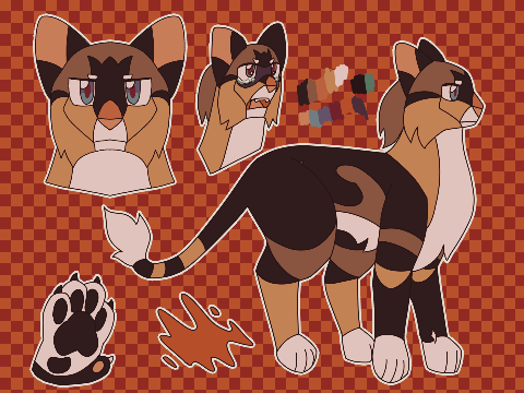 catified ref for something
