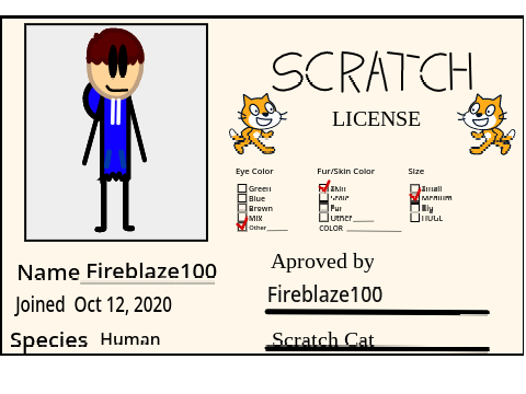 My Scratch License