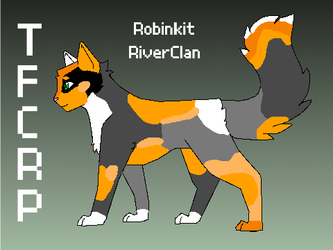 Robinkit TFCRP JYNX LITTER