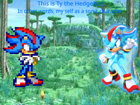 Ty The Hedgehog
