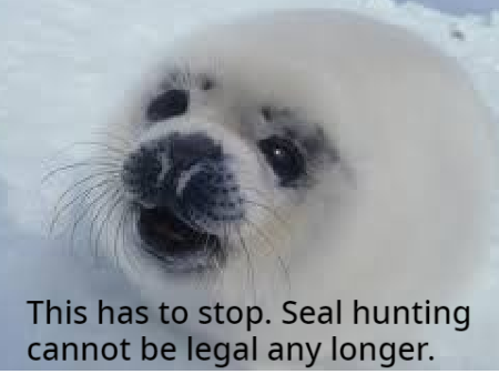 Save The Seals! PLEASE!