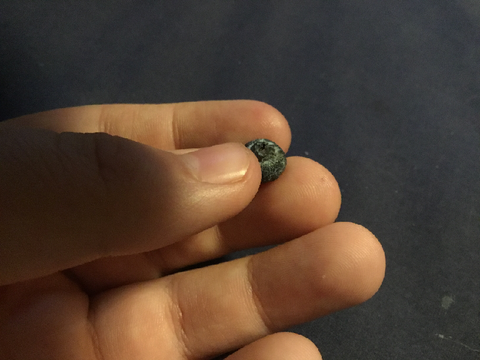 I found a tiny blueberry and did a photo shoot