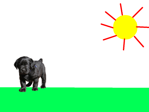  Farting Fluffball (NEW)