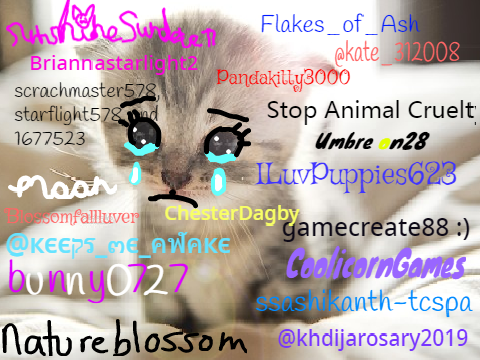 Sign if you hate animal cruelty! remix remix