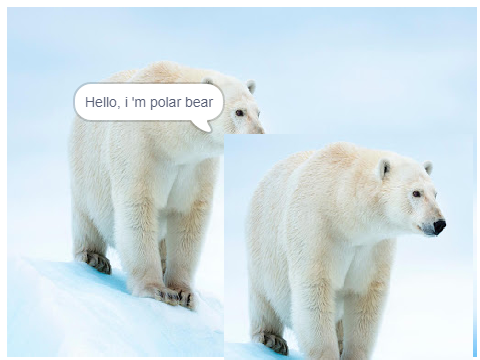 Polar Bear GO!