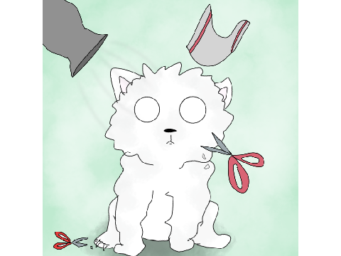 The Groomer