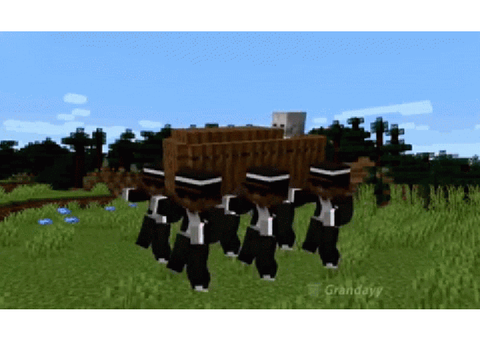 Minecraft Coffin Dance Meme