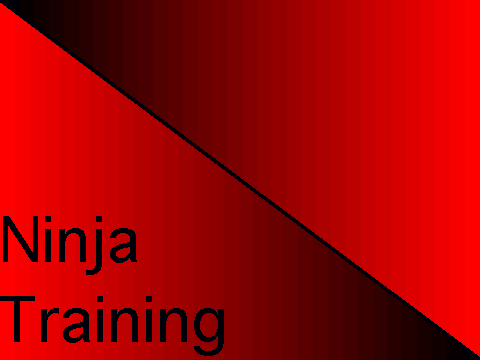Ninja Training v.04