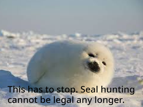 SAVE THE SEALS!!! STOP HUNTING THEM remix remix