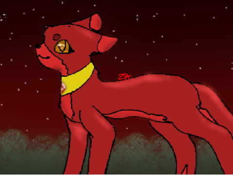 Pfp contest || Ruby