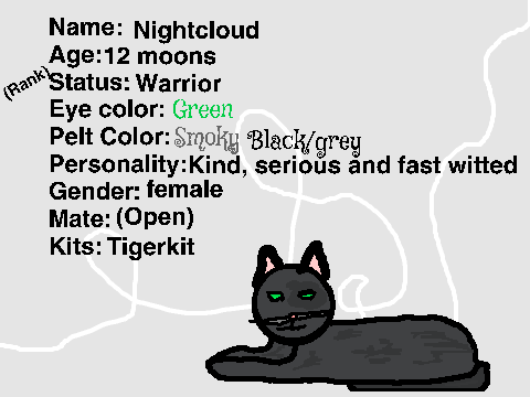 SunClan Sign Up Sheet- Nightcloud