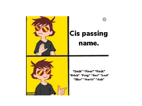 Non-Binary Picture Memes