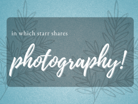 photography dump (& updates) ✨
