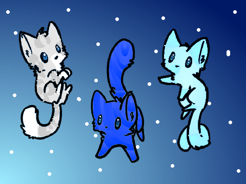 Cat trio CCE