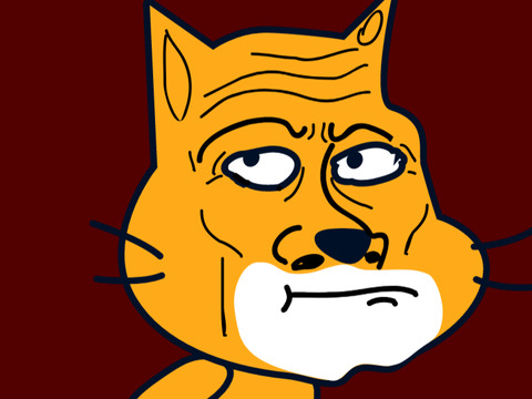scratch cat sees you
